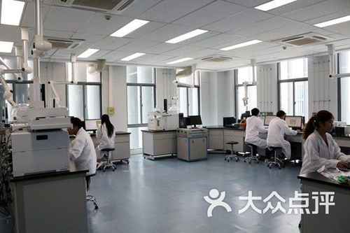 武漢市政科技信息研發(fā)中心生物科技培訓(xùn)課程 價(jià)格、簡(jiǎn)介與學(xué)習(xí)體驗(yàn)全解析